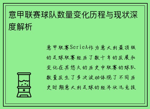 意甲联赛球队数量变化历程与现状深度解析