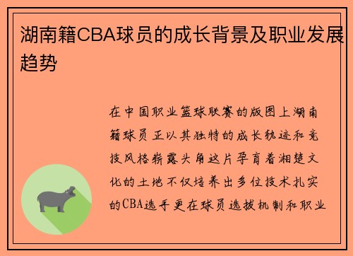 湖南籍CBA球员的成长背景及职业发展趋势